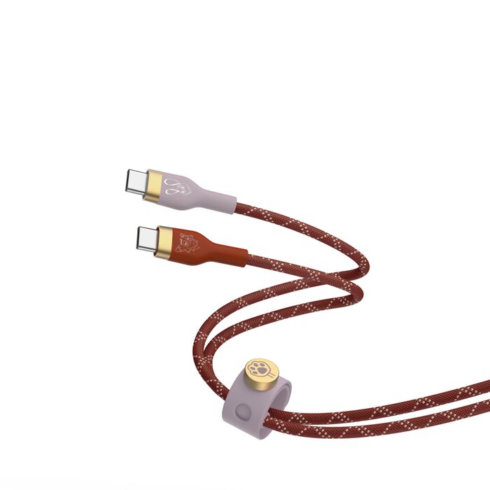 USB-C 至 USB-C 編織連接線 (迪士尼系列 / Marvel 系列), , hi-res