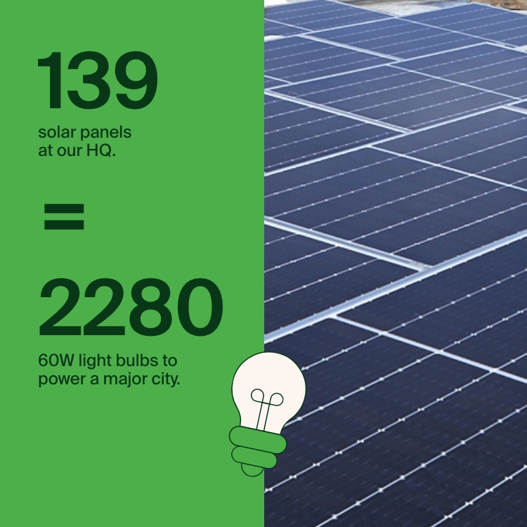 我們如何利用再生能源？